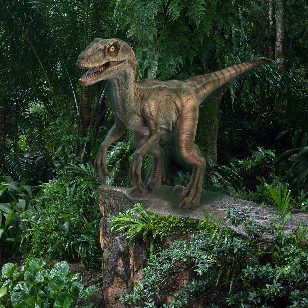 Raptor dinosaur