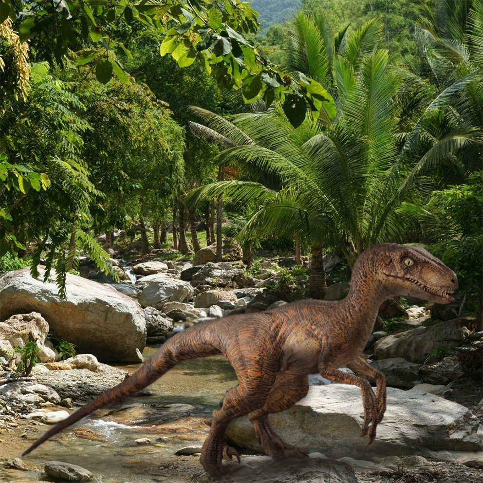 Raptor dinosaur