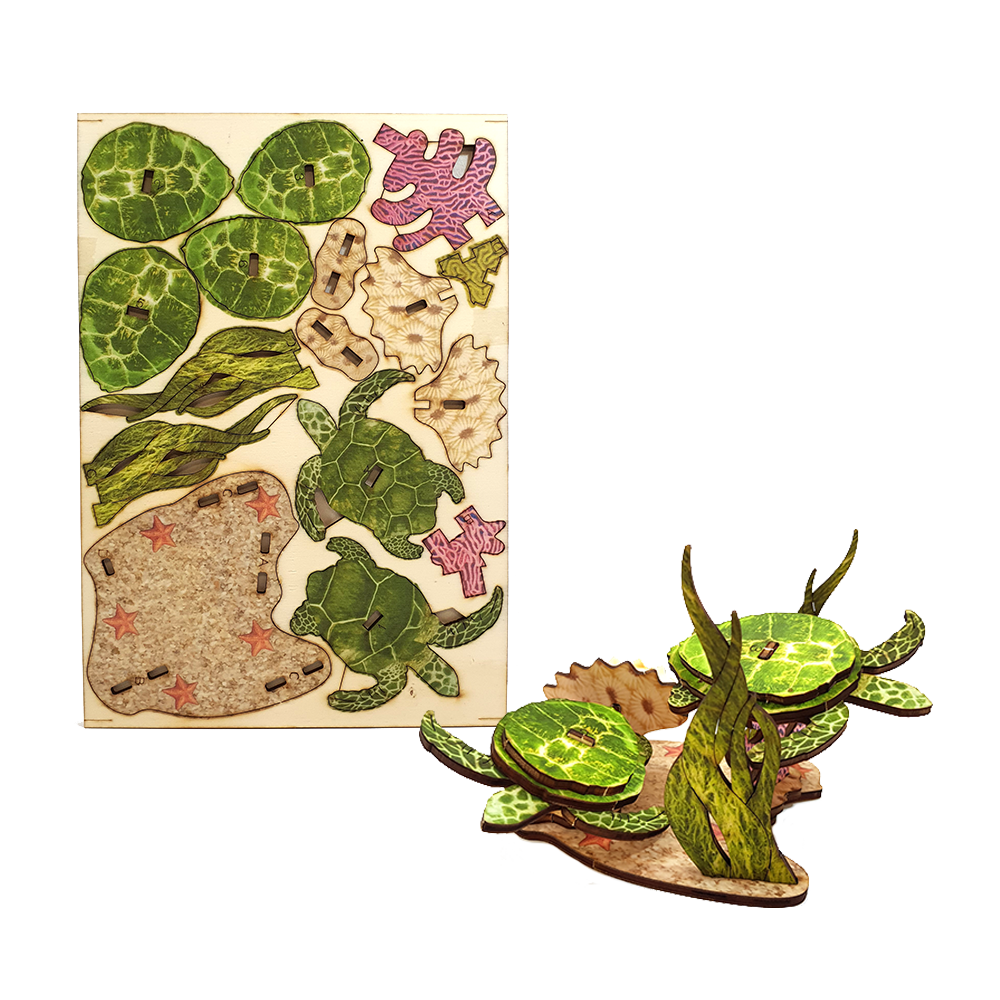 Reef & Pair of sea turtles / colored