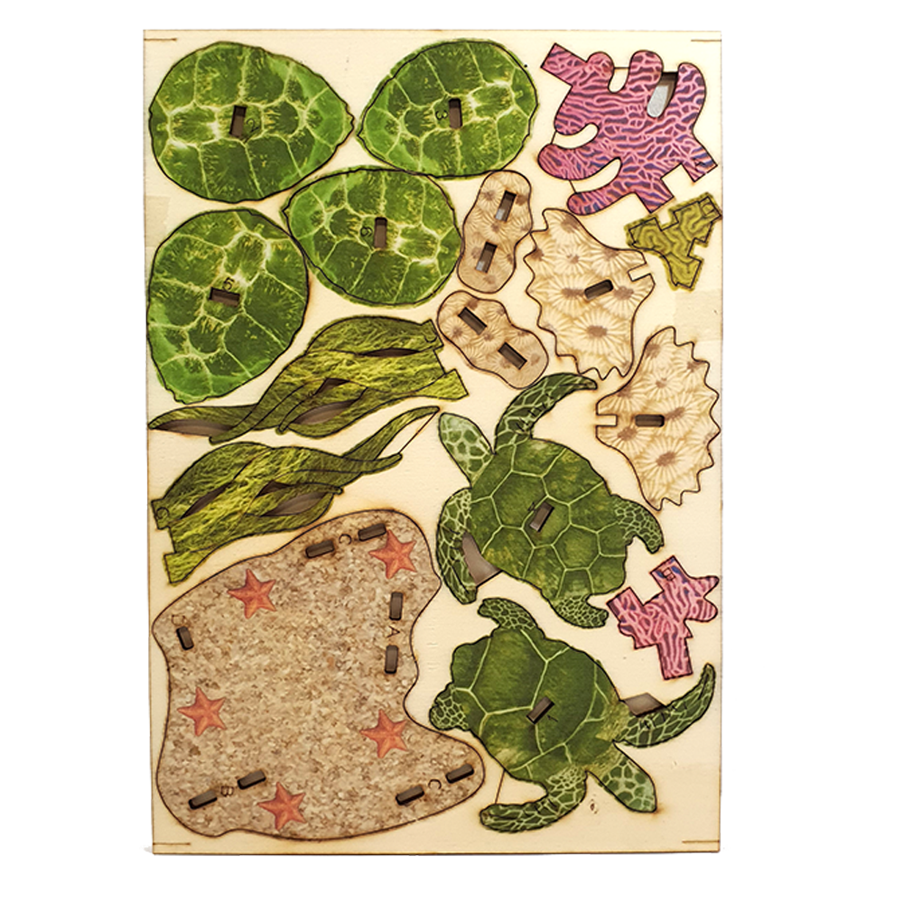 Reef & Pair of sea turtles / colored