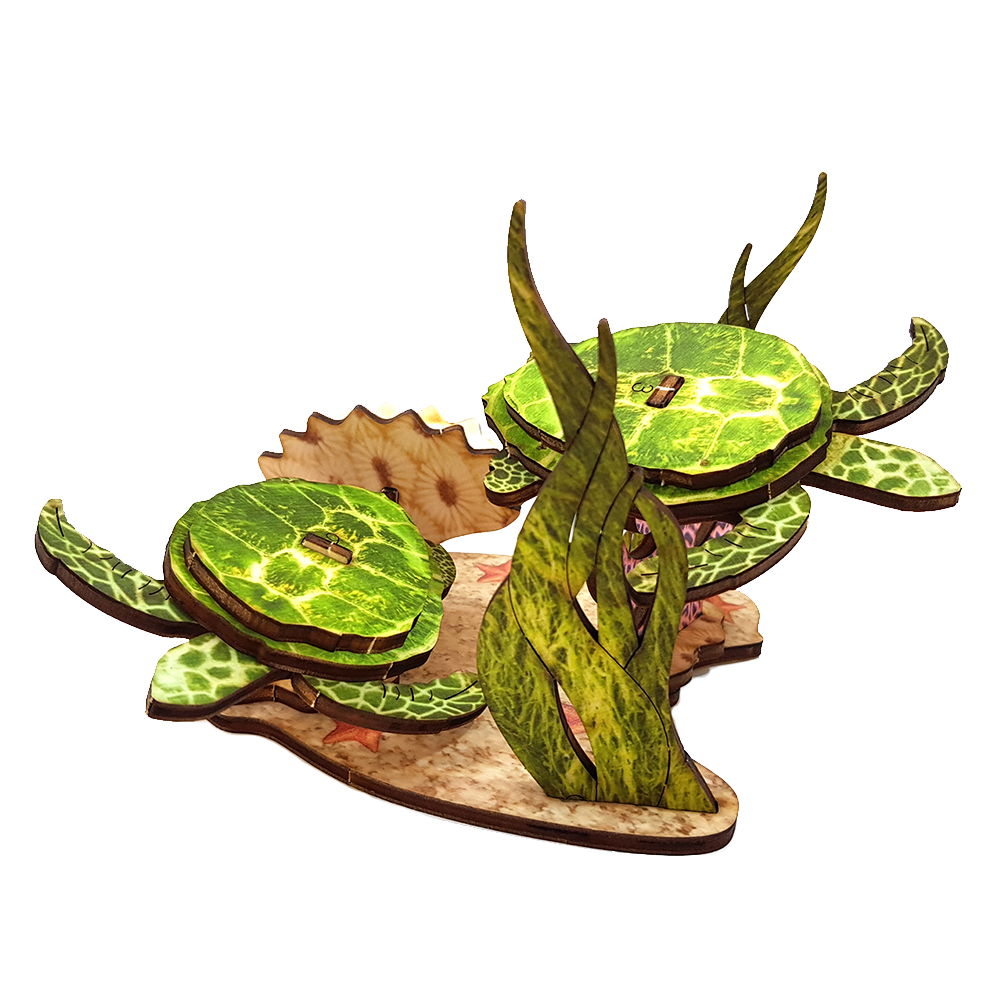 Reef & Pair of sea turtles / colored