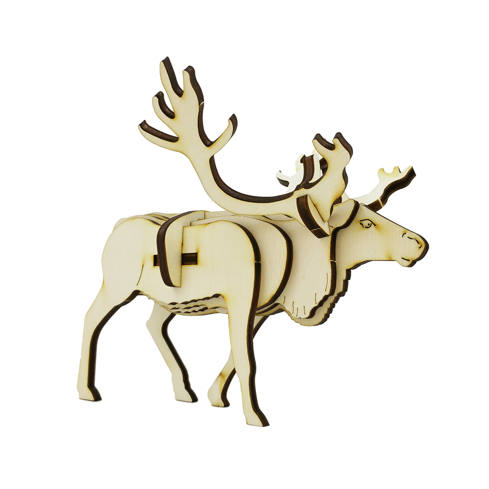 Reindeer