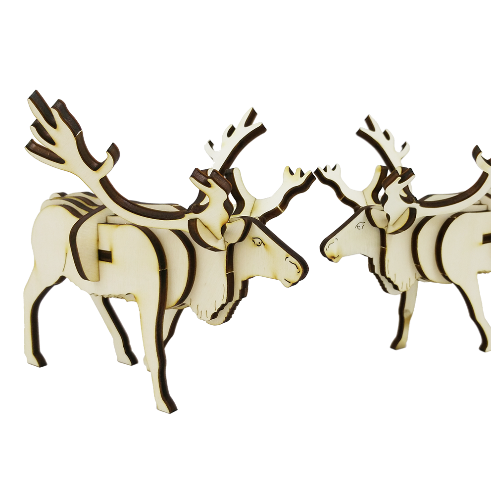 Reindeer