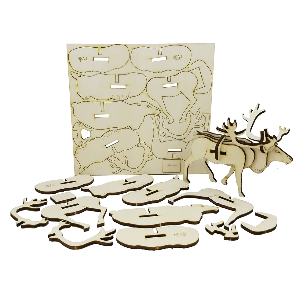 Reindeer