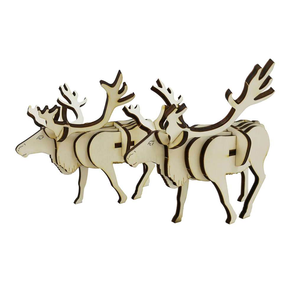 Reindeer
