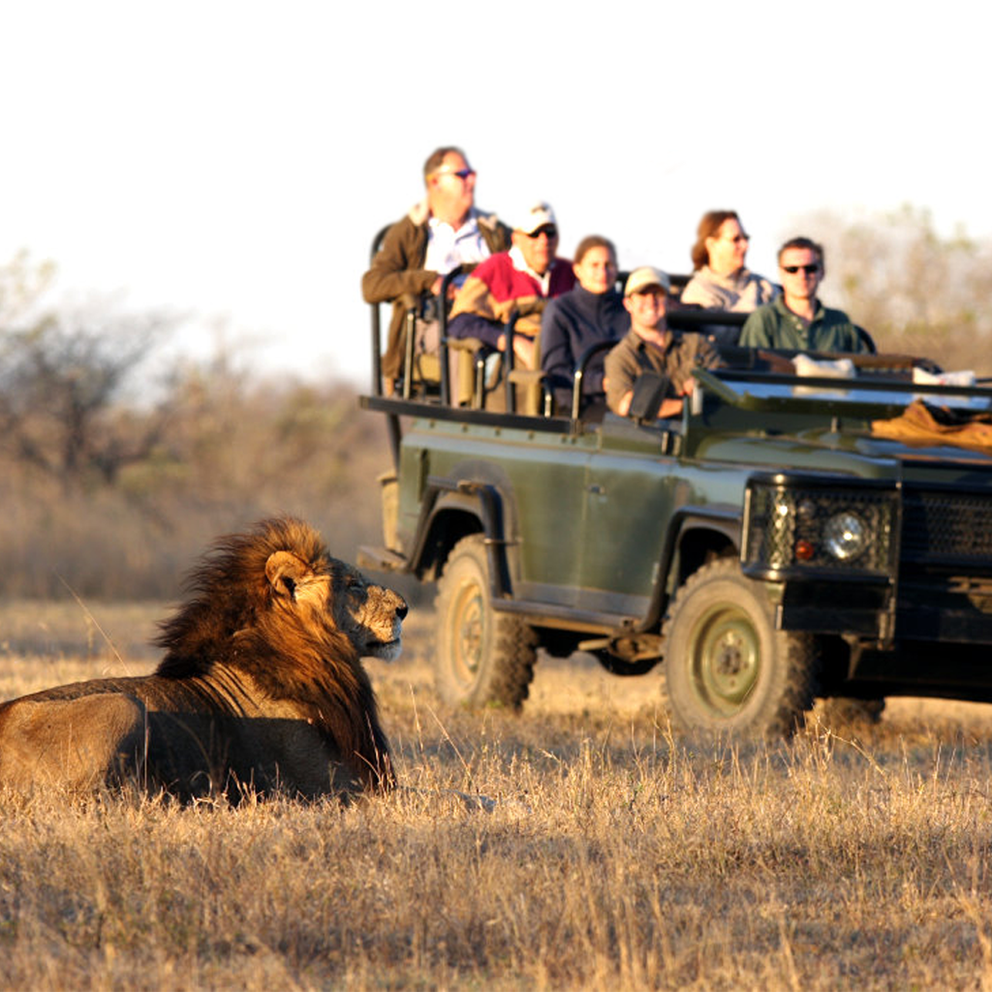 Safari car