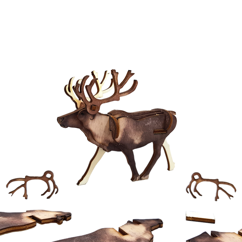 Reindeer – colored