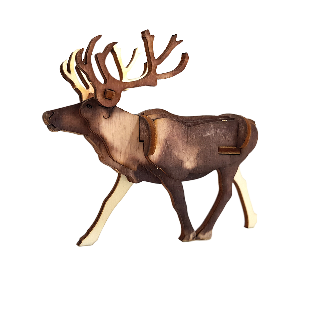 Reindeer – colored