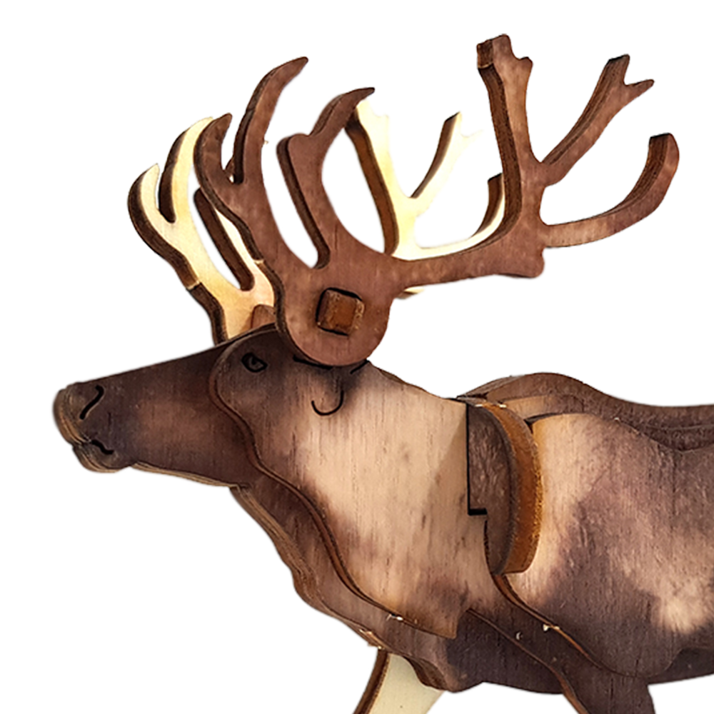 Reindeer – colored