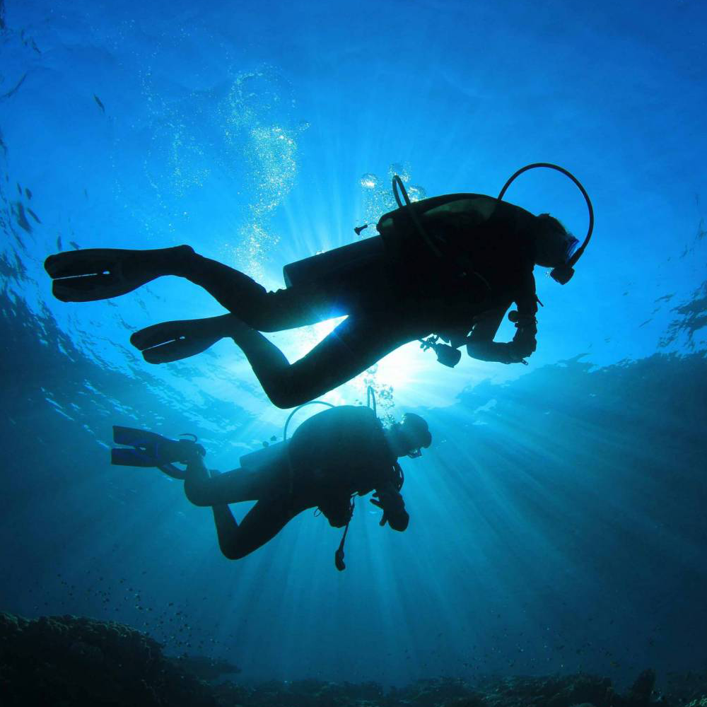Scuba Diver