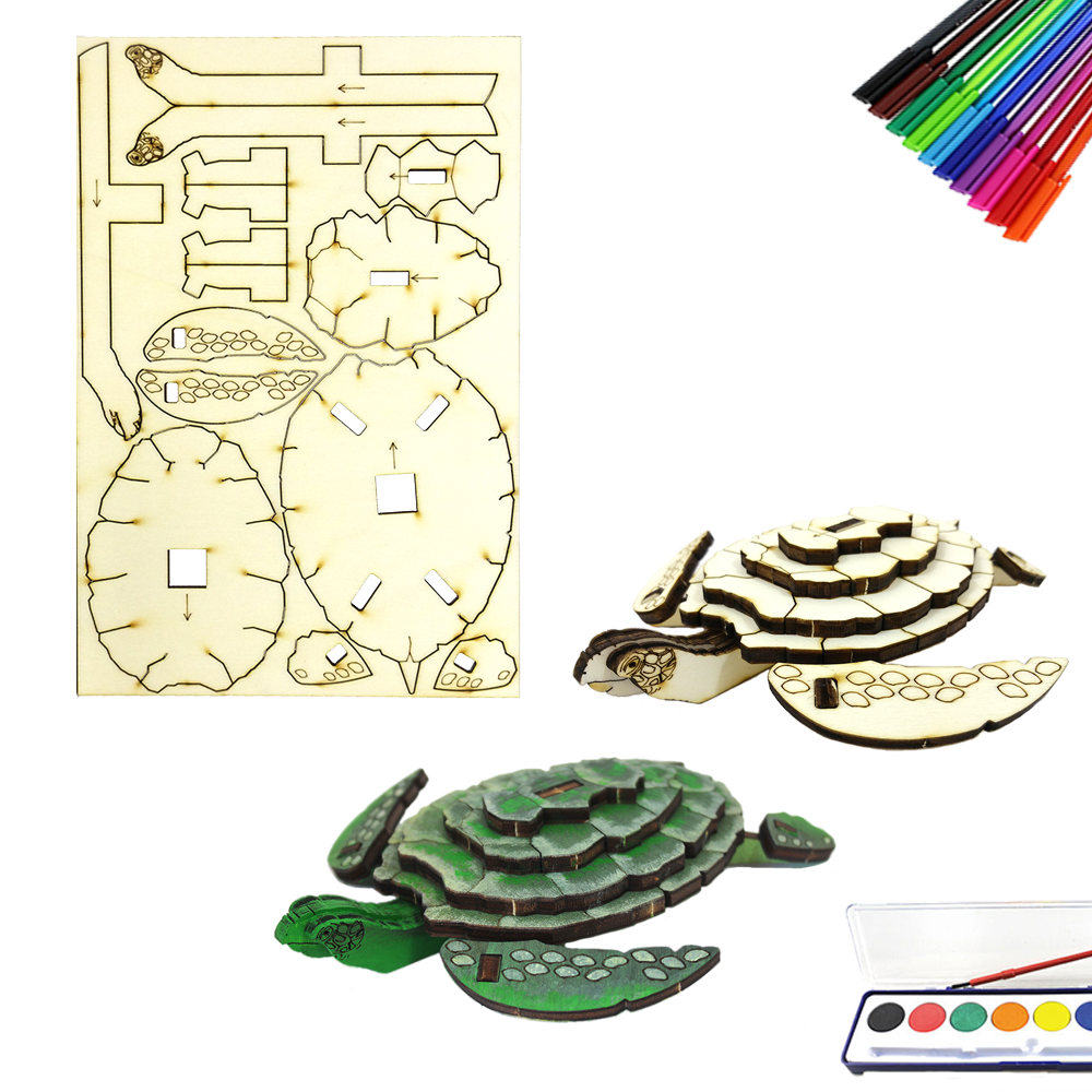 Sea Turtle