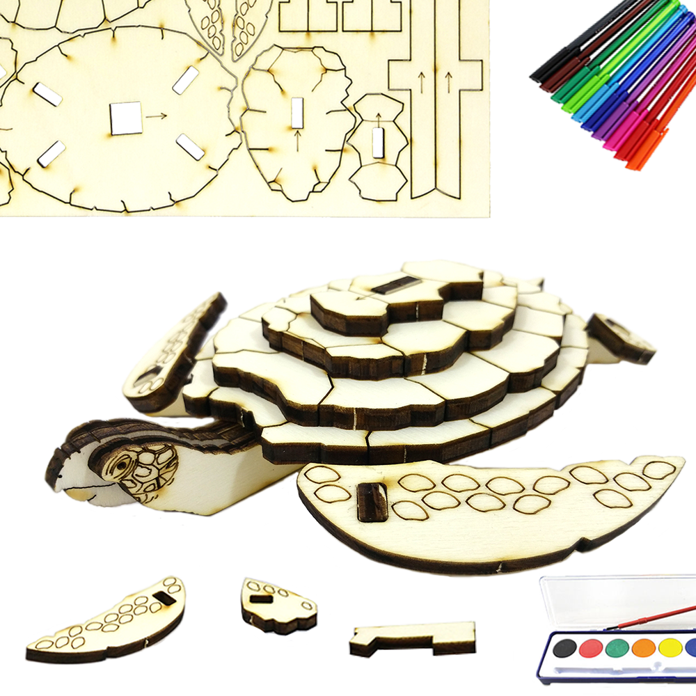 Sea Turtle
