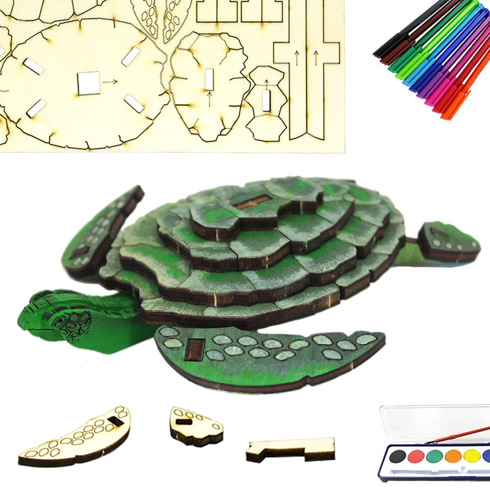Sea Turtle