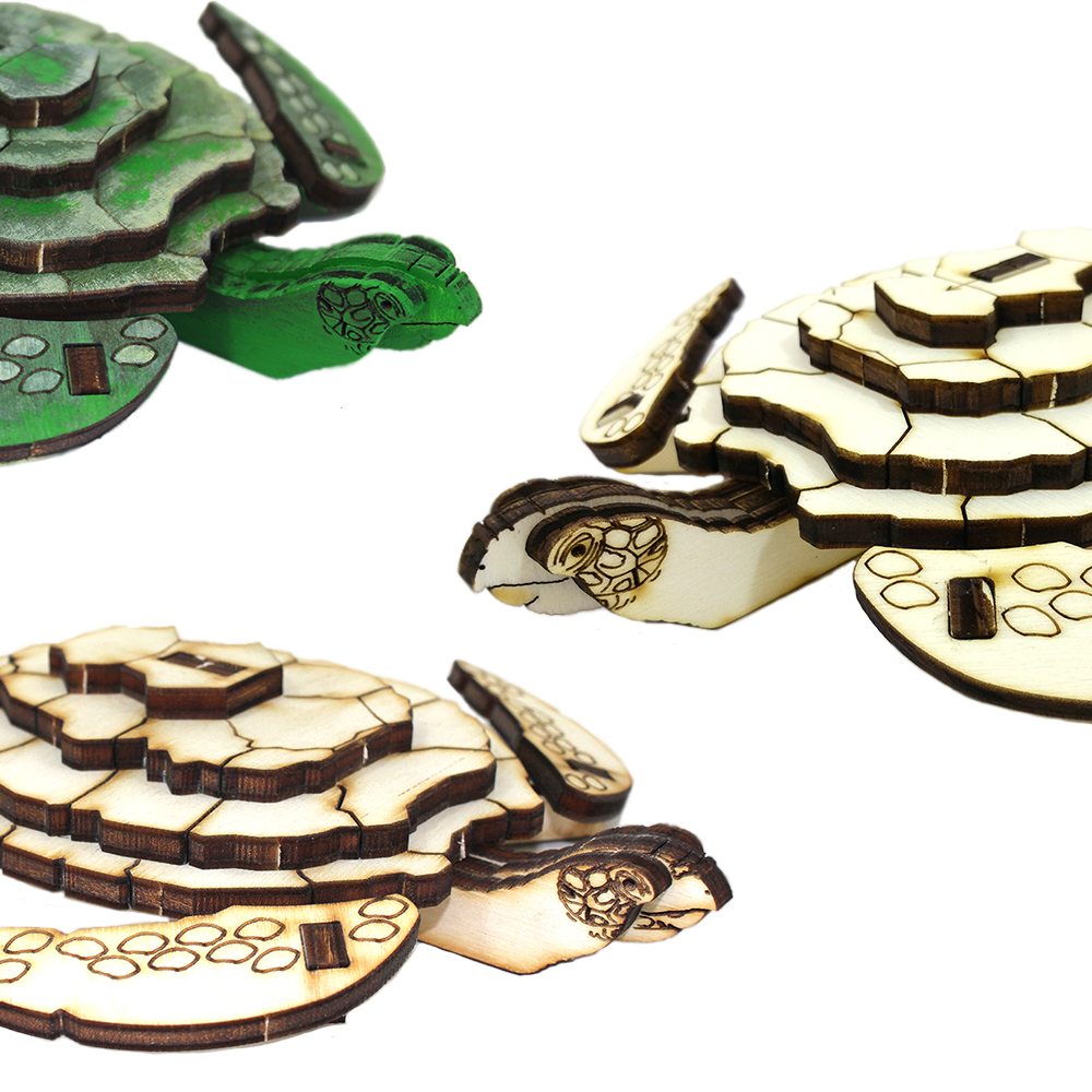 Sea Turtle