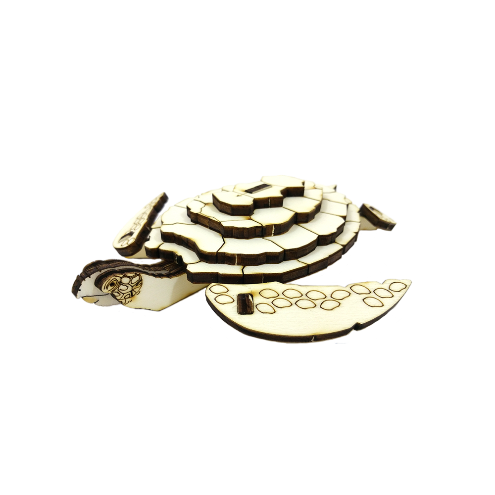 Sea Turtle