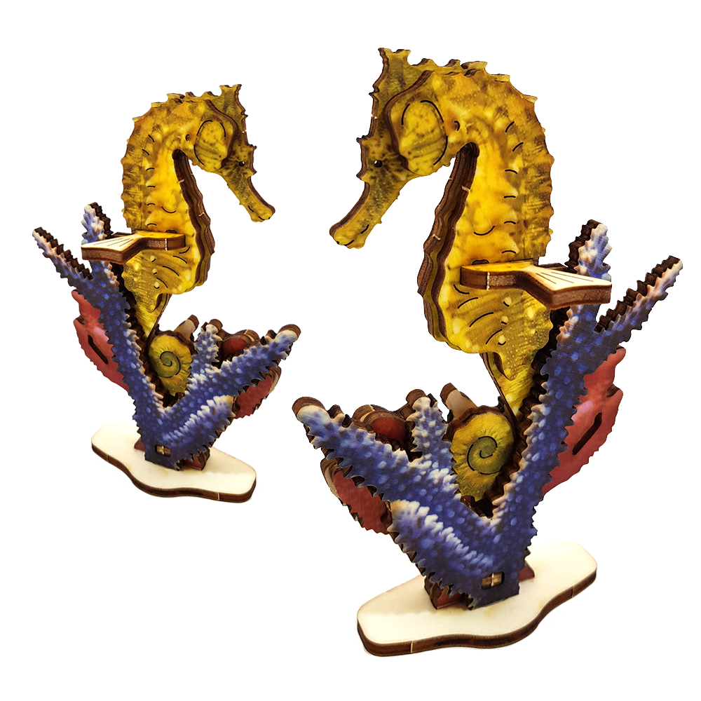 Seahorse – colored