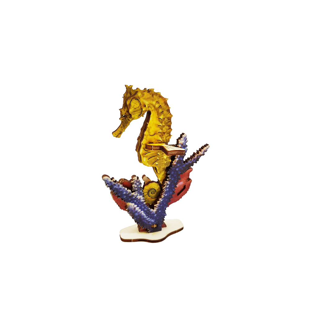 Seahorse – colored