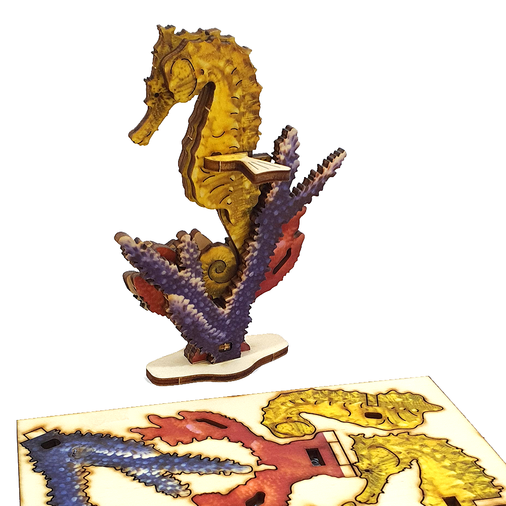 Seahorse – colored