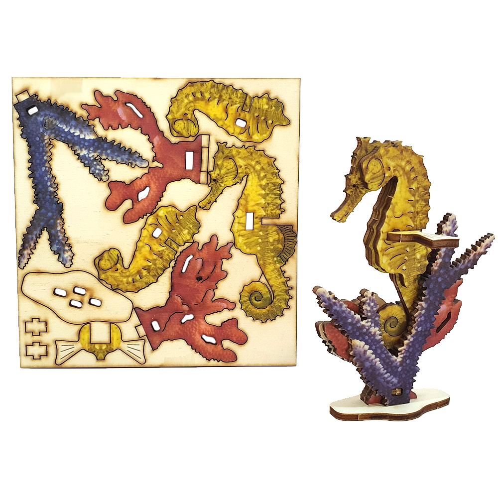 Seahorse – colored