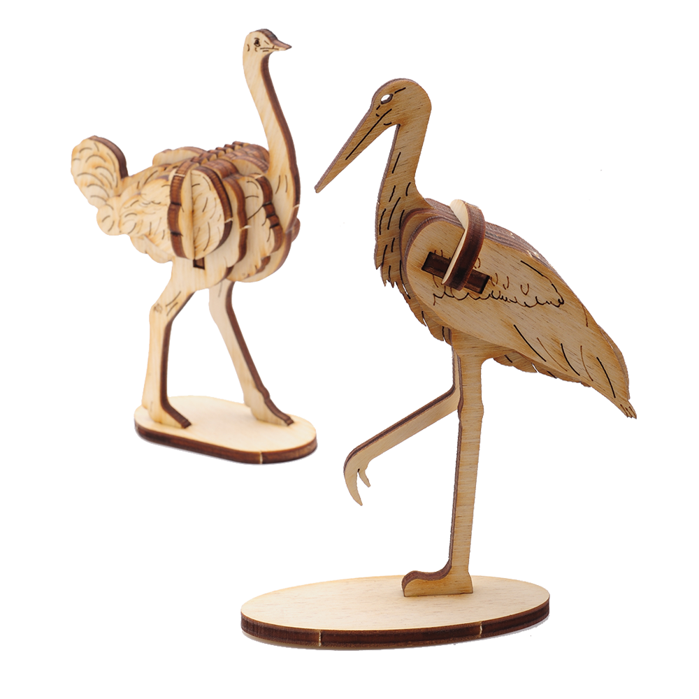 Stork