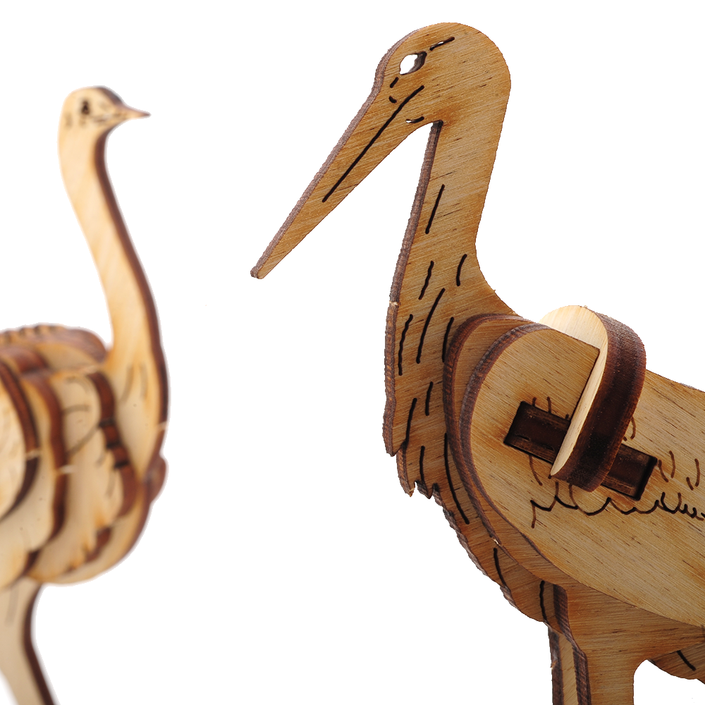 Stork