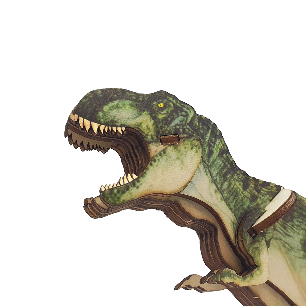 T-Rex dinosaur / colored