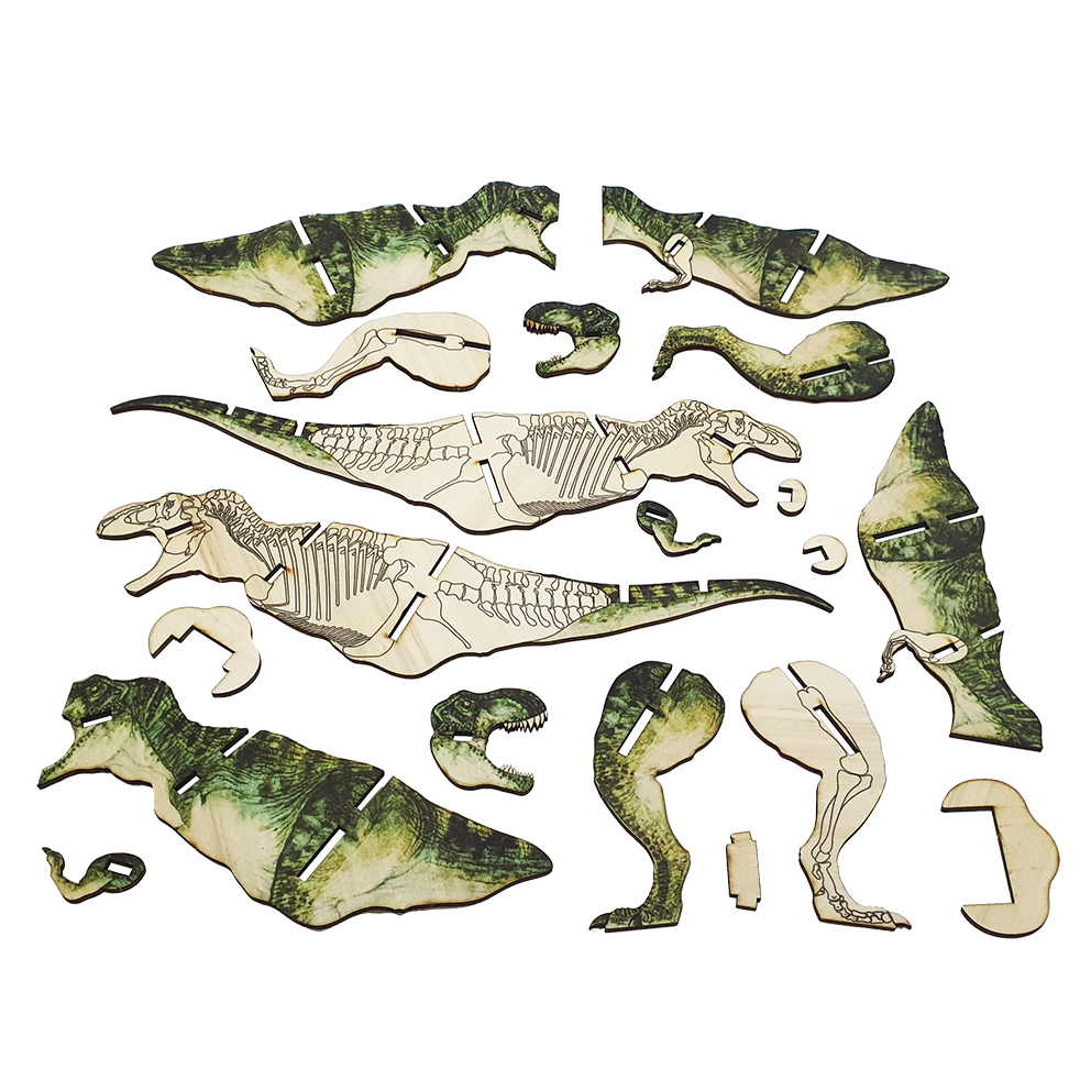 T-Rex dinosaur / colored