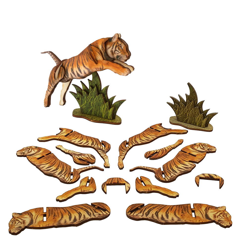 Tiger / colored