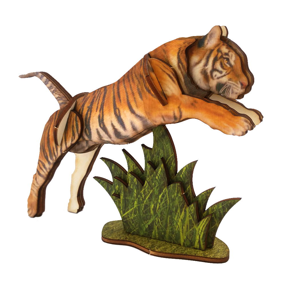 Tiger / colored