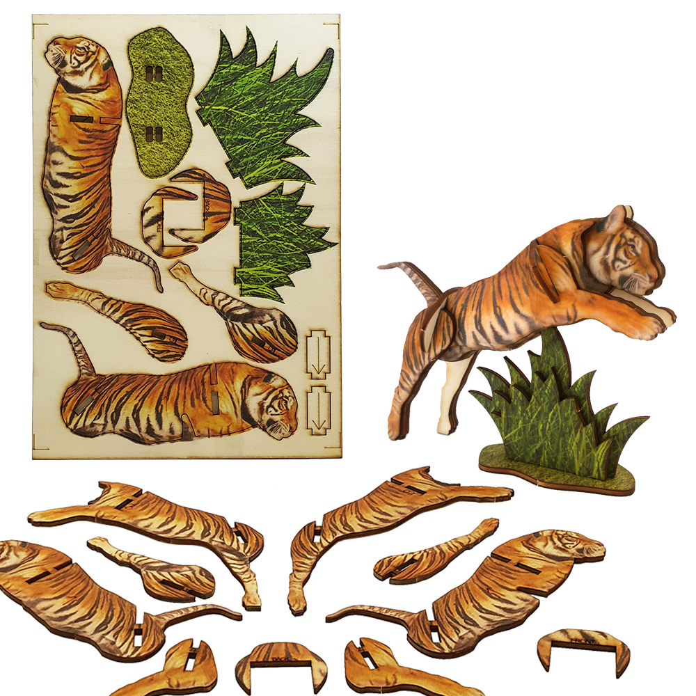 Tiger / colored