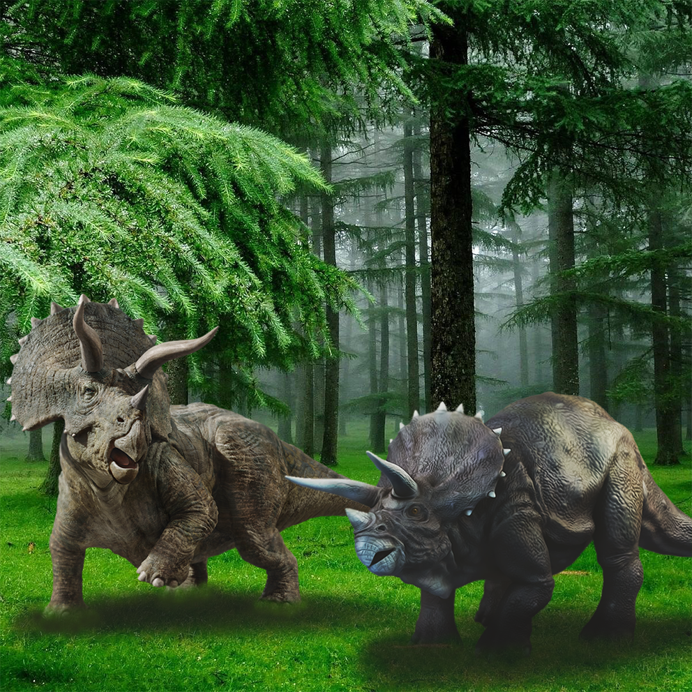 Triceratops dinosaur