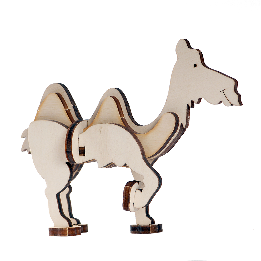 Young Camel