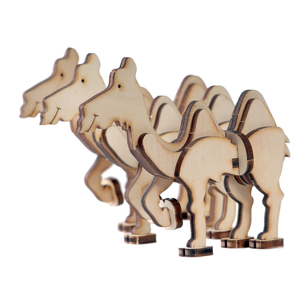 Young Camel