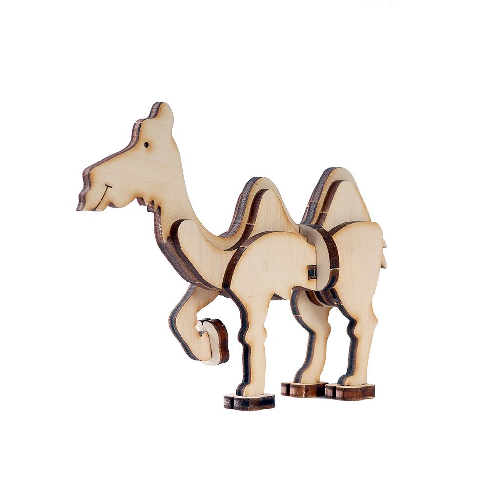 Young Camel