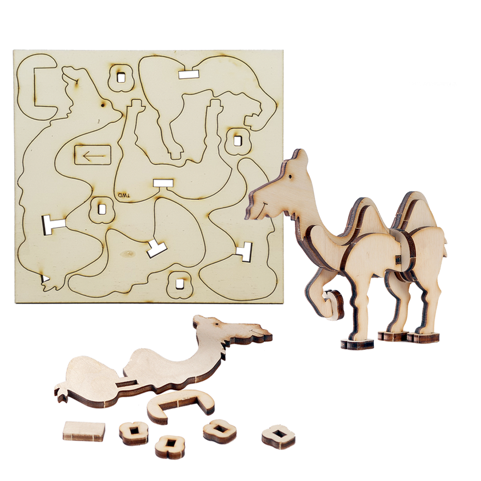 Young Camel
