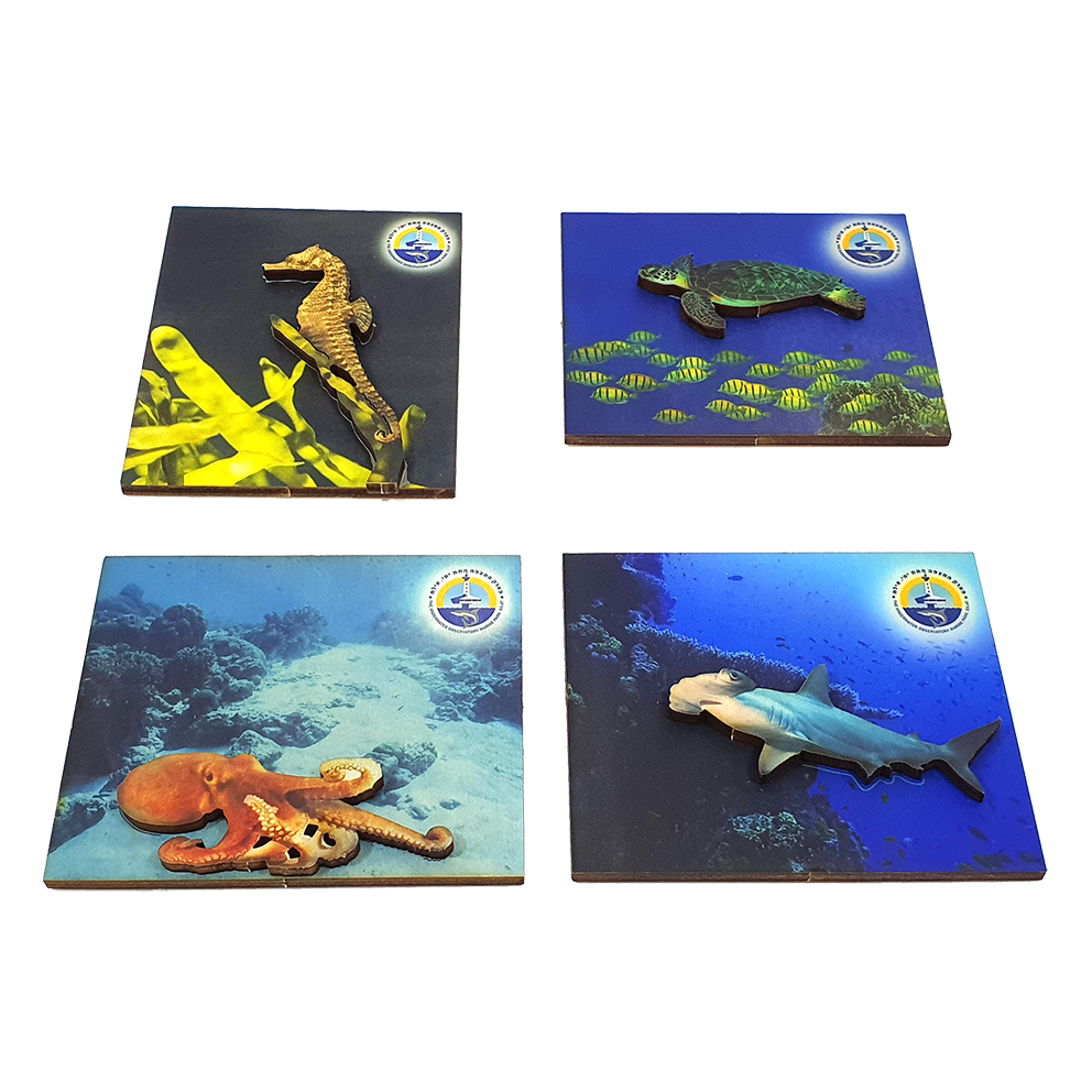 Ocean B – set of 4 magnets