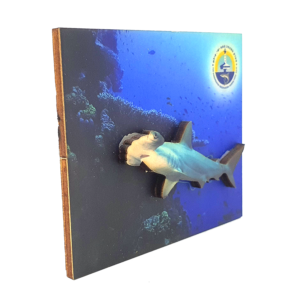 Ocean B – set of 4 magnets