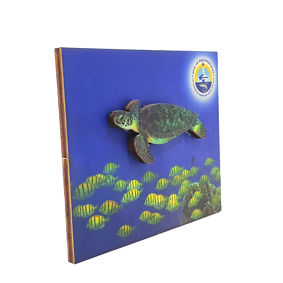 Ocean B – set of 4 magnets