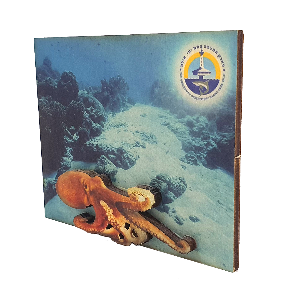Ocean B – set of 4 magnets
