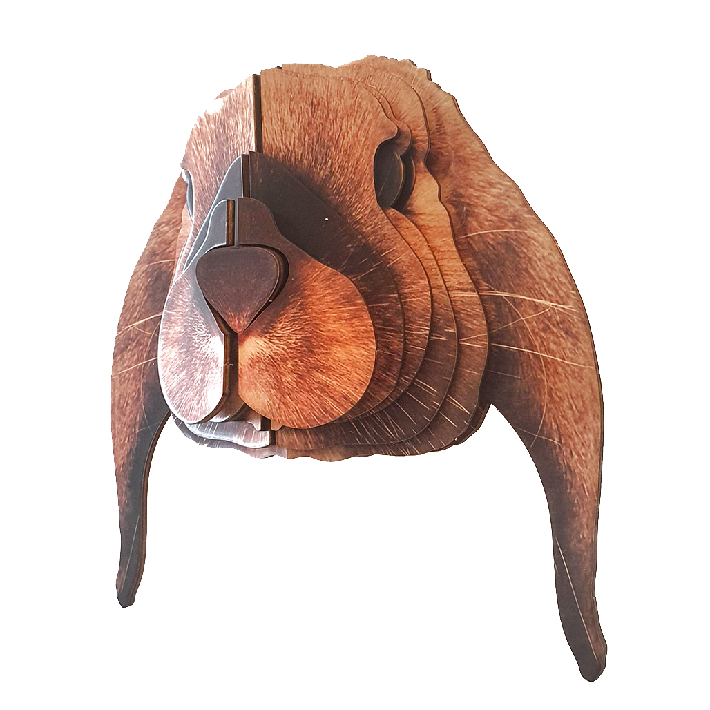 Lop rabbit 3D portrait