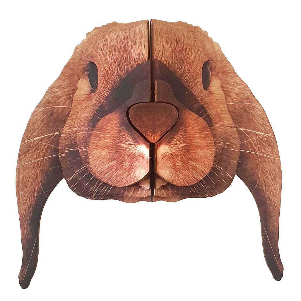 Lop rabbit 3D portrait