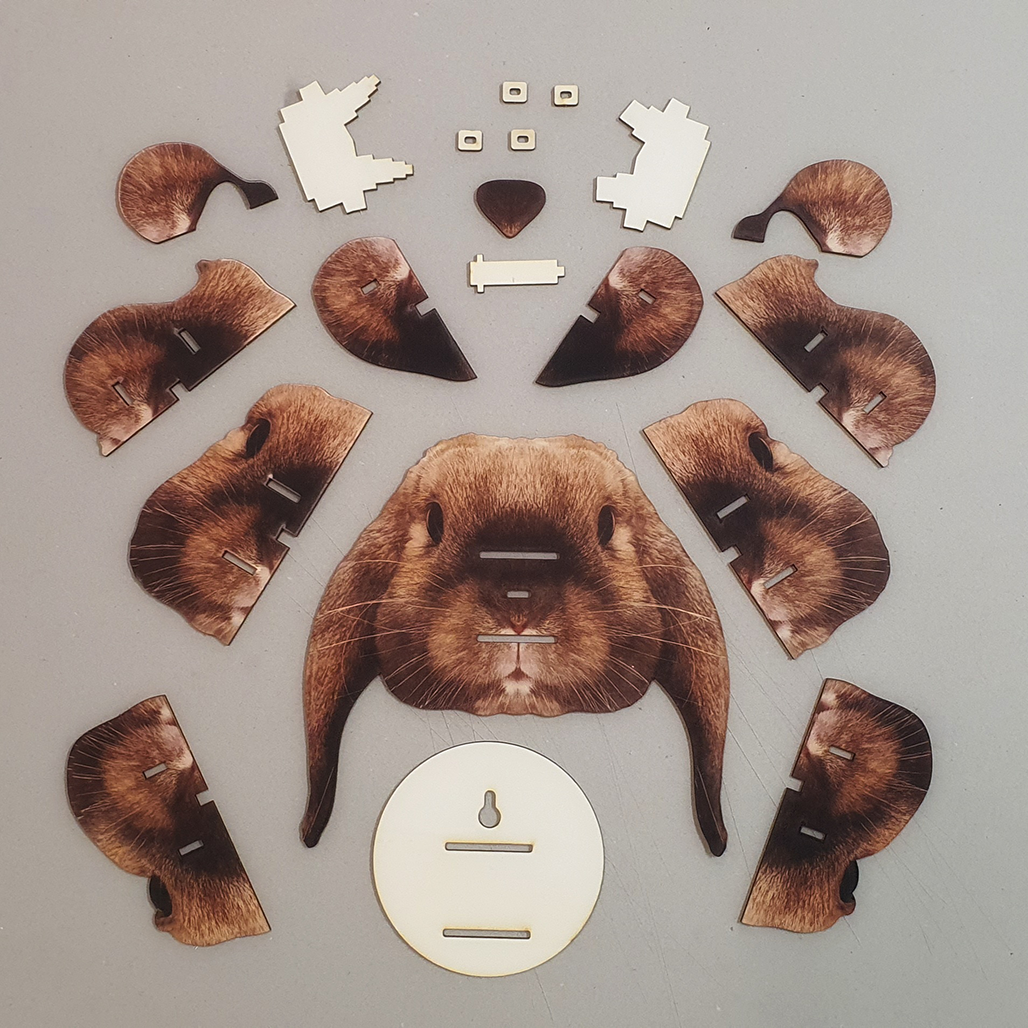Lop rabbit 3D portrait