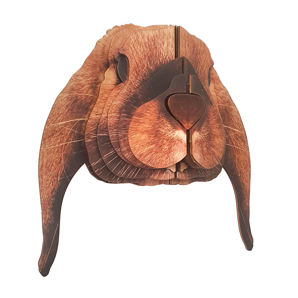 Lop rabbit 3D portrait