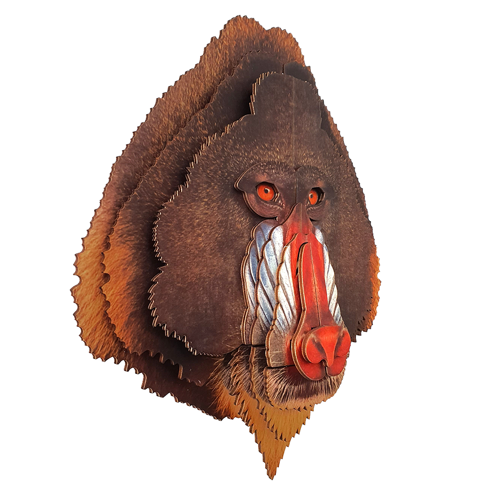 Mandrill 3D portrait