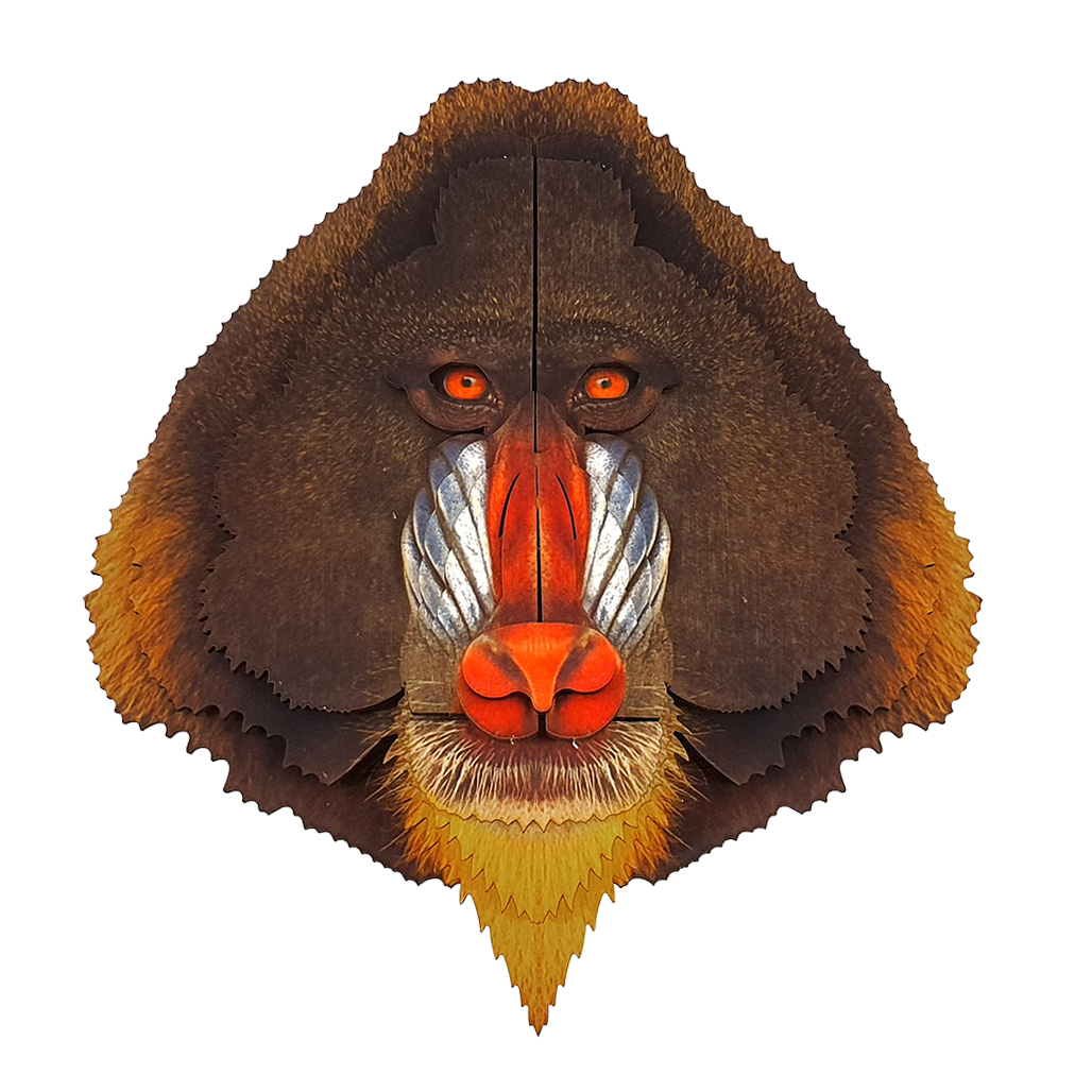 Mandrill 3D portrait