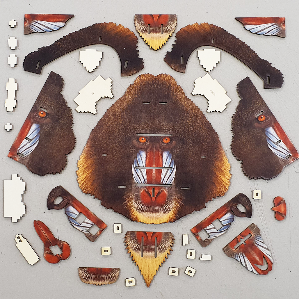 Mandrill 3D portrait