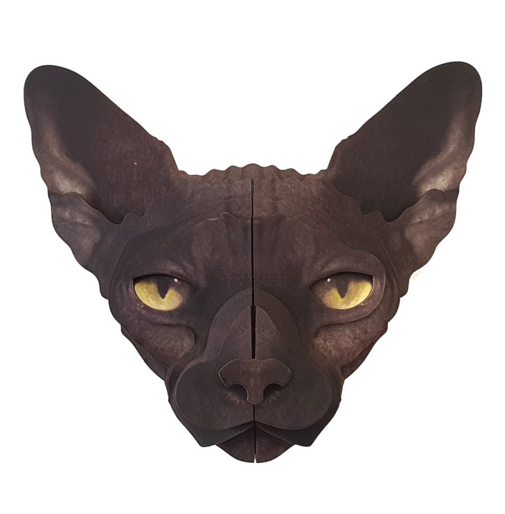 Sphynx cat 3D portrait