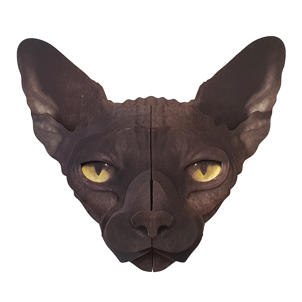 Sphynx cat 3D portrait