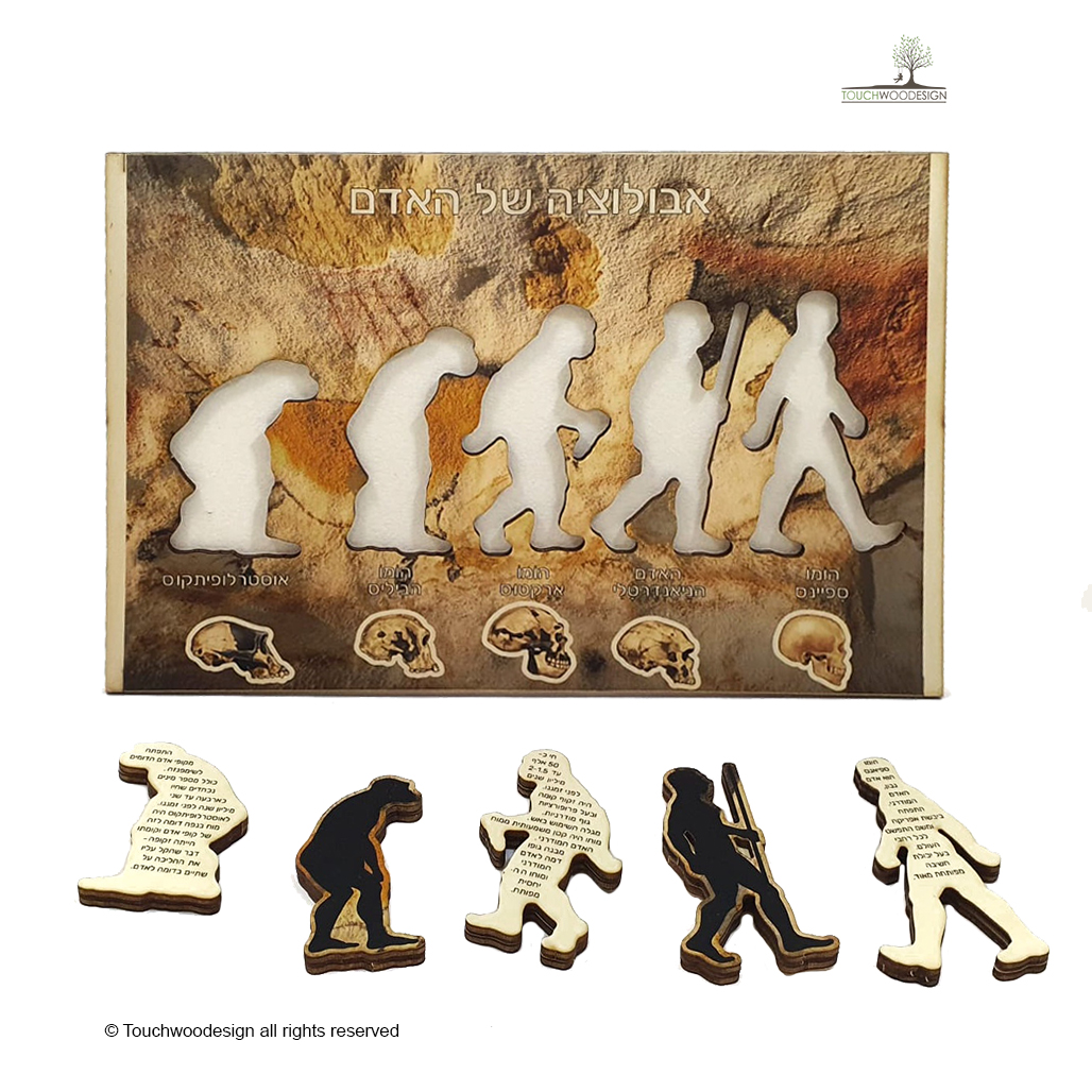 Human Evolution