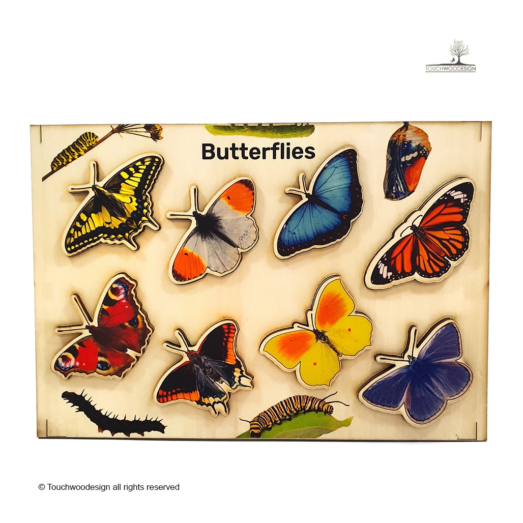 Butterflies